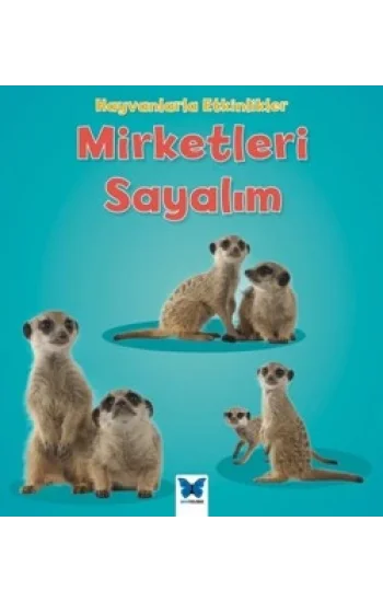 Mirketleri Sayalım