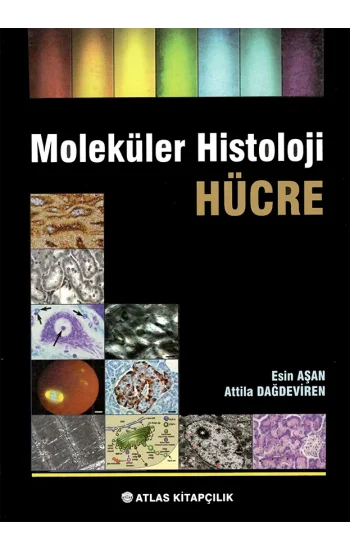 Moleküler Histoloji Hücre