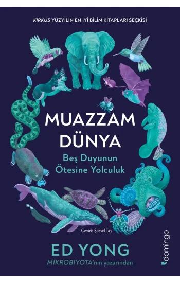 Muazzam Dünya