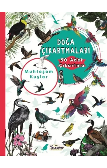 Muhteşem Kuşlar - Doğa Çıkartmaları
