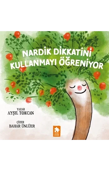 Nardik Dikkatini Kullanmayı Öğreniyor