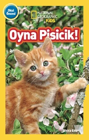 National Geographic Kids - Oyna Pisicik!