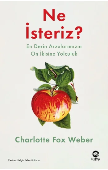 Ne İsteriz: En Derin Arzularımızın On İkisine Yolculuk