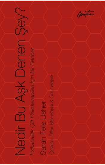 Nedir Bu Aşk Denen Şey?