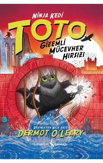 Ninja Kedi Toto – Gizemli Mücevher Hırsızı