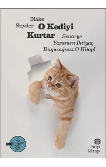 O Kediyi Kurtar: Senaryo Yazarken İhtiyaç Duyacağınız O Kitap!