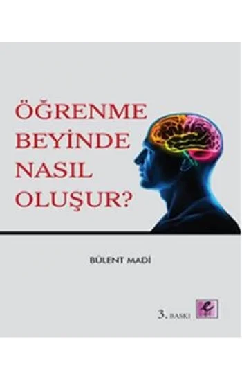Öğrenme Beyinde Nasıl Oluşur?