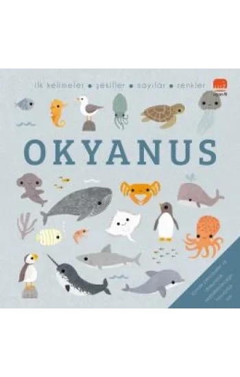 Okyanus - Say Bul Eğlen