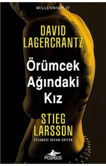 Örümcek Ağındaki Kız