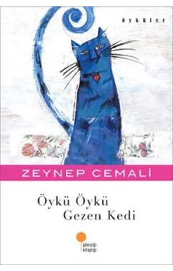 Öykü Öykü Gezen Kedi