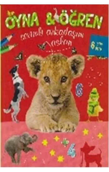 Oyna   Öğren - Sevimli Arkadaşım Aslan