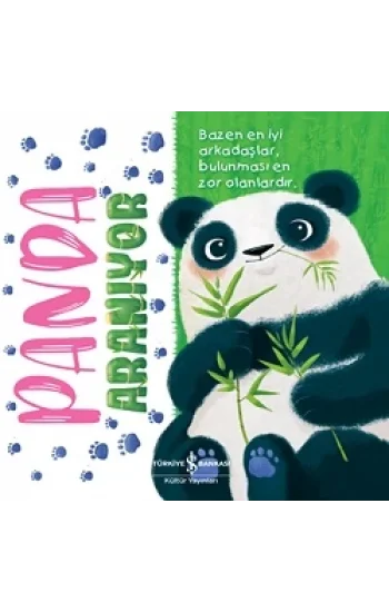 Panda Aranıyor
