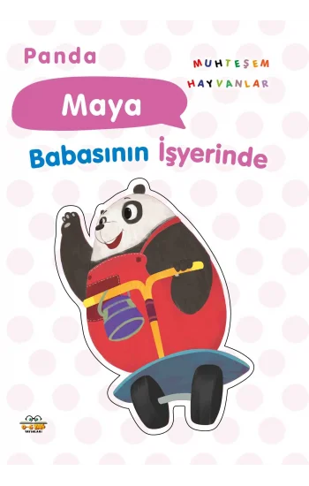 Panda Maya Babasının İşyerinde