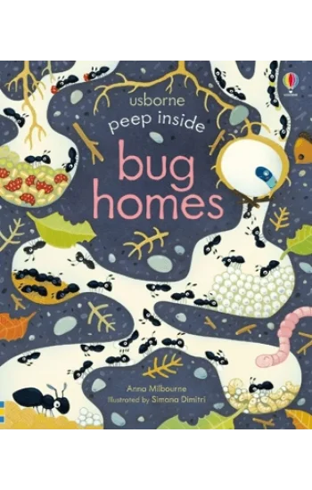 Peep Inside Bug Homes