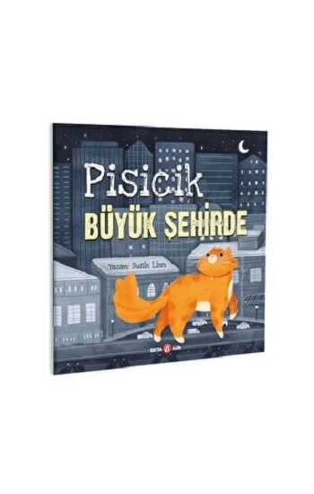 PİSİCİK BÜYÜK ŞEHİRDE