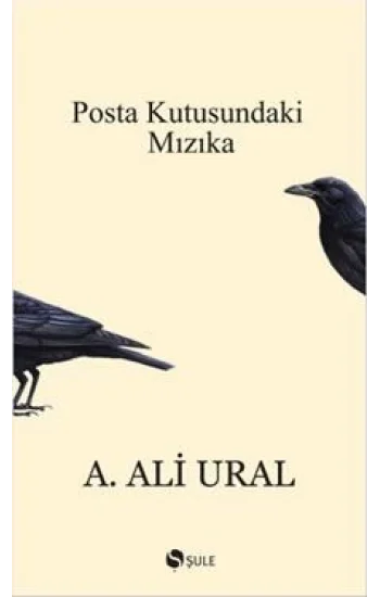 Posta Kutusundaki Mızıka