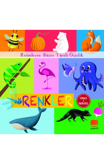 Renkler (Board Book)