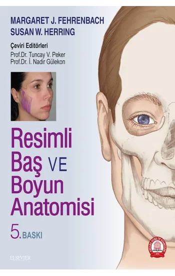 Resimli Baş ve Boyun Anatomisi
