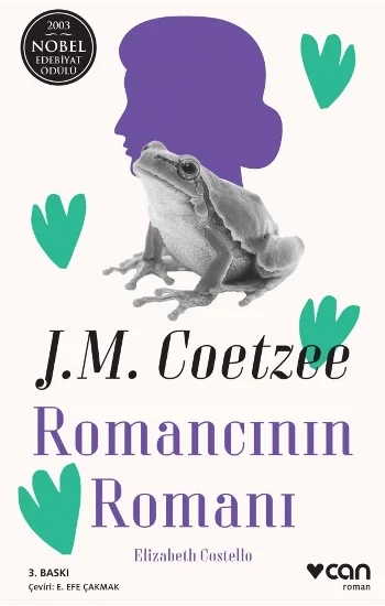 Romancının Romanı