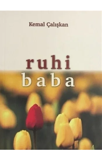 Ruhi Baba