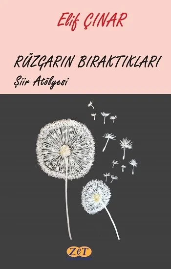 Rüzgarın Bıraktıkları