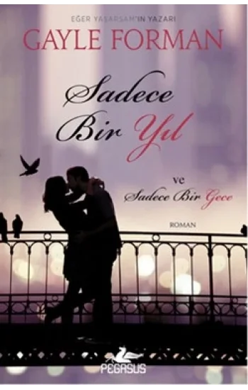 Sadece Bir Yıl ve Sadece Bir Gece