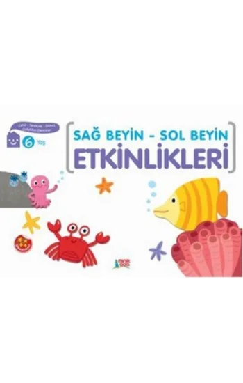 Sağ Beyin-Sol Beyin Etkinlikleri 6