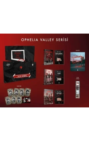 Saklambaç Serisi Kutulu Set (Ciltli)