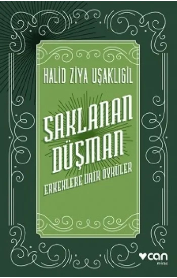 Saklanan Düşman