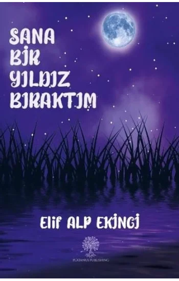 Sana Bir Yıldız Bıraktım