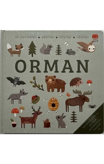 Say Bul Eğlen Orman (Ciltli)