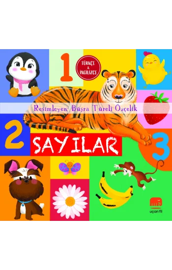 Sayılar (Board Book)