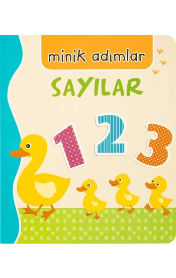 Sayılar-Minik Adımlar