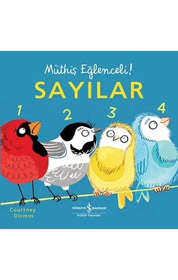 Sayılar – Müthiş Eğlenceli! (Ciltli)