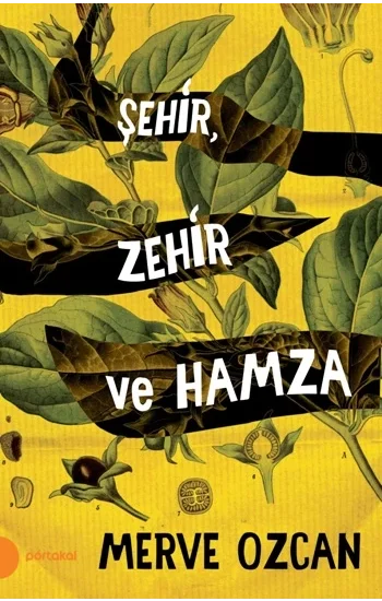 Şehir Zehir ve Hamza