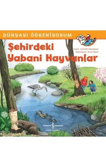 Şehirdeki Yabani Hayvanlar - Dünyayı Öğreniyorum