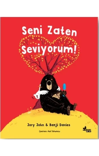 Seni Zaten Seviyorum