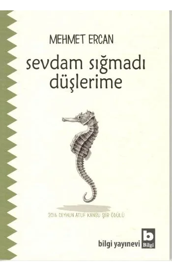 Sevdam Sığmadı Düşlerime