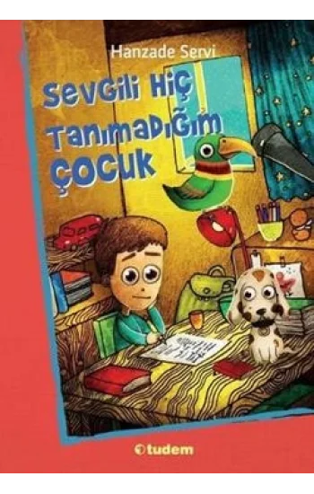 Sevgili Hiç Tanımadığım Çocuk