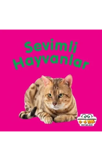 Sevimli Hayvanlar - Mini Karton Kitaplar