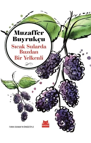 Sıcak Sularda Buzlardan Bir Yelkenli