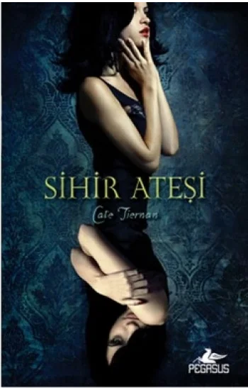Sihir Ateşi 1. Kitap
