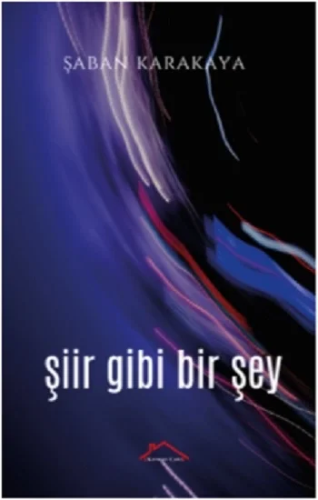 Şiir Gibi Bir Şey