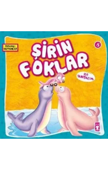 Şirin Foklar ile Tanışalım
