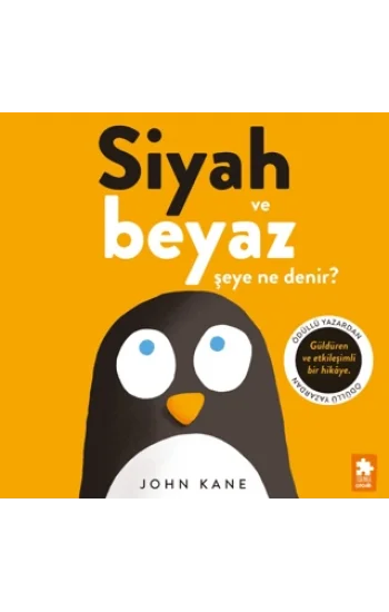 Siyah ve Beyaz Şeye Ne Denir?