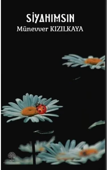 Siyahımsın