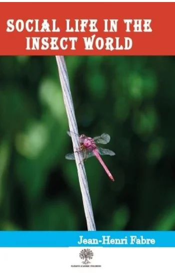 Social Life in the Insect World