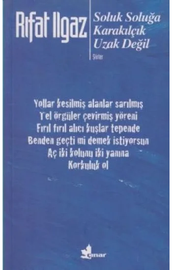 Soluk Soluğa Karakılçık Uzak Değil - Şiirler 1962-1969-1971
