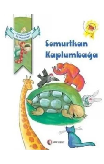 Somurtkan Kaplumbağa