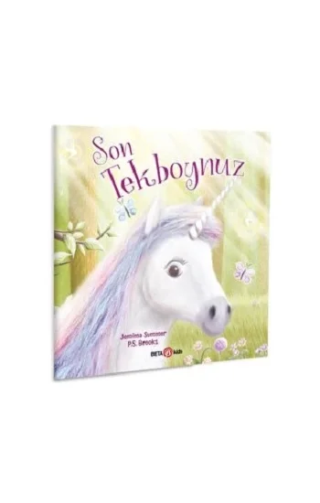 SON UNICORN BOYNUZ